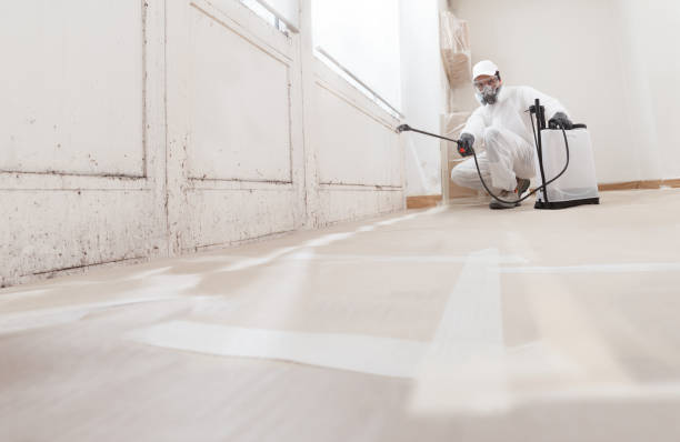24/7 Emergency Mold Remediation experts in Allendale, MI
