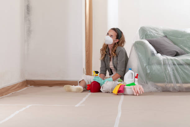Reliable Mold Remediation contractor in Allendale, MI by Car Mold Remediation